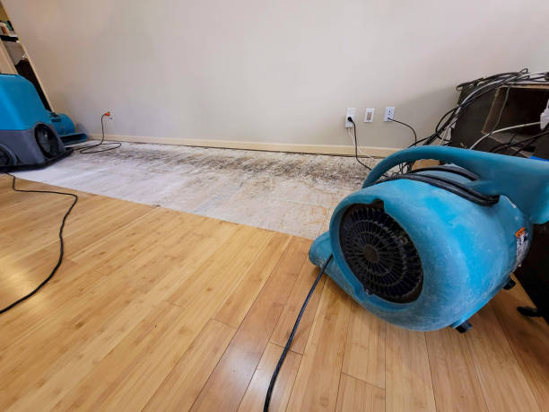 Professional Flood Damage Cleanup technician working in Portage, UT